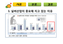 [마케팅] 실버마케팅(삼성 노블카운티)-3