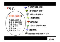 [경영전략] 남양유업의 경영전략 분석-11