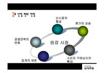 [경영전략] 남양유업의 경영전략 분석-19
