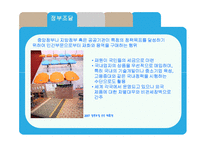 [통상정책] 비관세 장벽에 대한 연구(정부조달 중심으로)-4