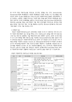 [사회복지] 다문화가정 아동과 청소년을위한 교육정책-13
