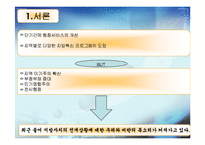 [한국정치] 지방자치제도에 관한 연구(現상황과 효과성에 대한 고찰)-3