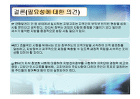 [한국정치] 지방자치제도에 관한 연구(現상황과 효과성에 대한 고찰)-17