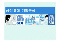 [무역개론] 삼성 SDI 기업분석-1