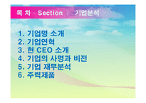 [무역개론] 삼성 SDI 기업분석-2