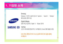 [무역개론] 삼성 SDI 기업분석-3