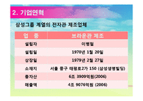 [무역개론] 삼성 SDI 기업분석-4