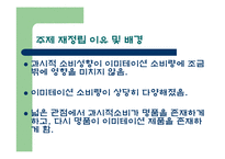 [행정조사방법론] 현재 이미테이션의 소유에 대한 다양한 요인 규명 조사-3