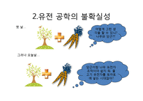 GMO(Genetically Modified Food)에관한 문제점 분석-7