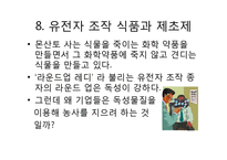 GMO(Genetically Modified Food)에관한 문제점 분석-16