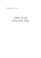 [실험] 전류와 자기장-1