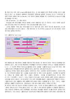 [세포학] DNA 복제-6