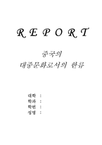 중국의 대중문화로써의 한류-1