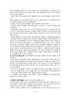 [조직행동론] 손정의의 리더십에 관한 연구-13