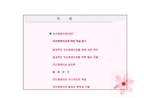 [비즈니스커뮤니케이션] 프리젠테이션에 관한 분석-2