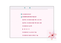 [비즈니스커뮤니케이션] 프리젠테이션에 관한 분석-7