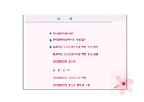 [비즈니스커뮤니케이션] 프리젠테이션에 관한 분석-13