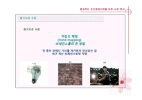 [비즈니스커뮤니케이션] 프리젠테이션에 관한 분석-17