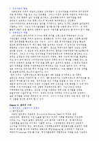 [국제자본] 서브프라임에 관한 연구-5