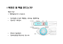 [북한학] MB정부와 오바마 정부의 북핵정책 평가와 대안-5
