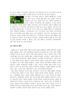 [감상문] 원령공주 감상 및 분석-7