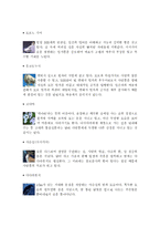 [감상문] 원령공주 감상 및 분석-9