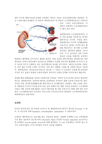 [의학] 신경계 신호전달 체계에 관한 신경전달물질-3