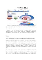 [의학] 신경계 신호전달 체계에 관한 신경전달물질-6