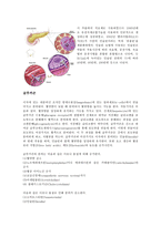 [의학] 신경계 신호전달 체계에 관한 신경전달물질-9