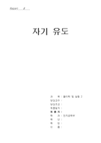 [실험] 자기 유도-1