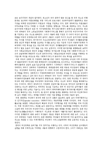 사회학 - 해외의 여성정책-9