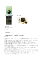 [실험] Borda 진자-4