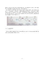유기화학 실험 - nitration-3