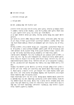 인간과환경 - 세계 대기오염의 피해 사례-6
