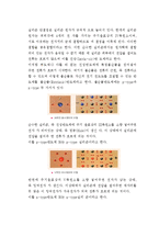 고체 물리학 - 반도체-5