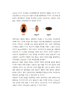 고체 물리학 - 반도체-7
