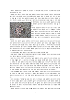 [실험] counting `recruited` foragers-3