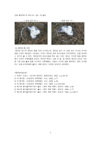 [실험] counting `recruited` foragers-5