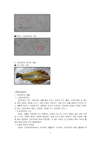 [의학] 인체조직세포관찰-2