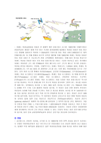 [전기 전자] 전기 전자 레포트-6