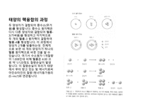 핵에너지의 실제응용-13