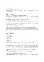 IT839 전략에 대하여-2