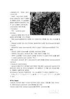 [기계] 베이나이트(Bainite)-5
