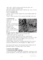 [기계] 베이나이트(Bainite)-6