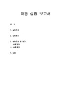 [실험] 파동실험 보고서-1