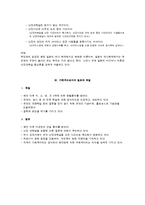 일본의 중국침략과 남경대학살-9