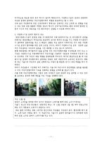 [지방행정론] 서울시 자원회수시설 공동이용에 관한 `갈등해결과정`-8