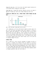 [사회복지정책] 미혼모를 위한 연구-6