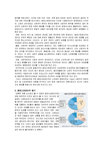 [정치발전론] 러시아의 문제점(페레스트로이카 이후)-6