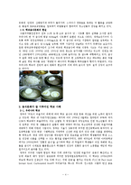 [학교음식문화] 학교음식 문화 현실과 대책-4